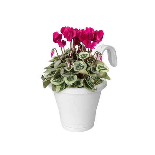 119112_720x Vaso Fioriera da Balcone Elho Corsica 16 cm