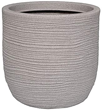 51L4m9tUEOL._AC_SY355_