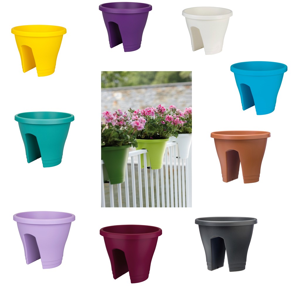 8106927-vari-corsicaAQAAQAQAAAAQ